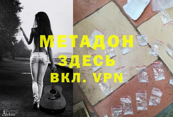 индика Губаха