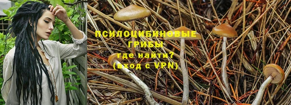 кокс Аркадак