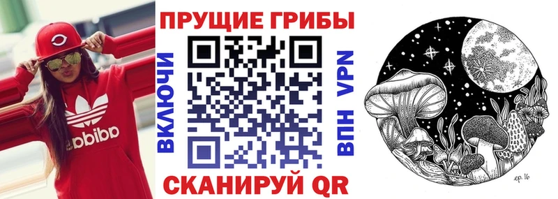 Галлюциногенные грибы Psilocybine cubensis  Петухово 