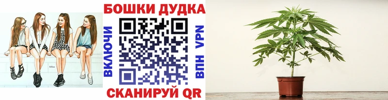 Шишки марихуана индика  Петухово 